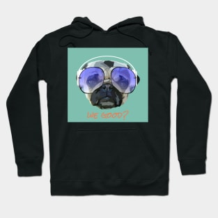 We good? Pug Hoodie